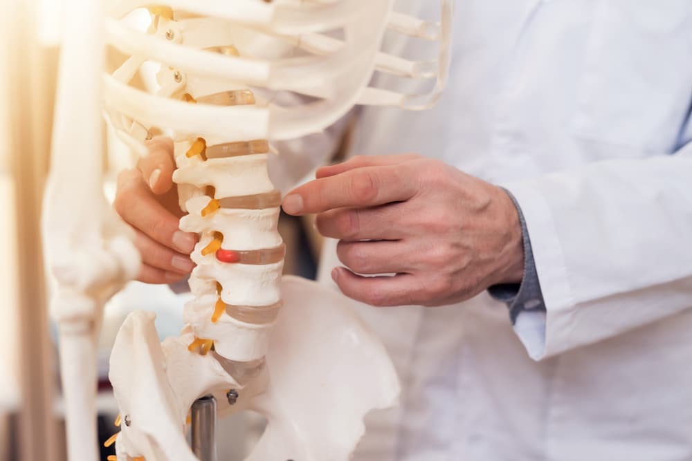 Doctor pointing to model spine